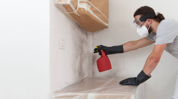 Professional Mold Removal technician working in Louisville, IL