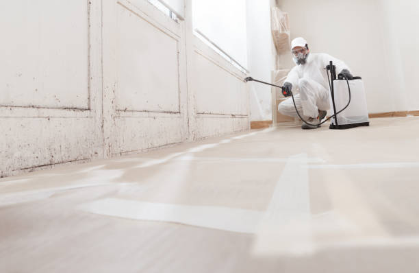 24/7 Emergency Mold Removal experts in Louisville, IL